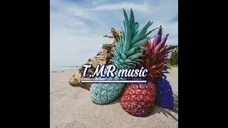 🎶Lagu LEAVE & PARTY'. Remix Fungky Aide Sam Rmx&deg; [Tunuge Mixing Prod X King George]*