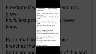 The Pine Tree Poem by Matt Marchant