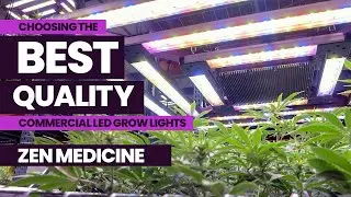 Choosing Best Quality LED Commercial Grow Lights PREVIEW