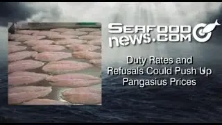 Duty Rates and Refusals Could Push Up Pangasius Prices