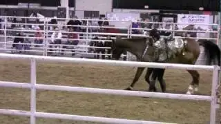 Dorothy Mueller at the Novi Equestrian Expo 2011