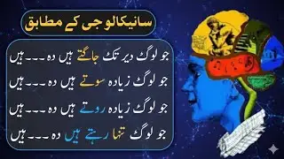 PSYCHOLOGICAL FACTS IN URDU | Mind Blowing Facts About Human Behavior in Urdu - Urdu Adabiyat