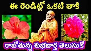 ఈ రెండిట్లో ఒకటి తాకి శుభవార్త తెలుసుకో @dwarakamai sai 