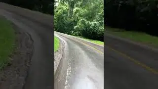 passing through a protected forest where landslides often occur when it rains#shorts #rain