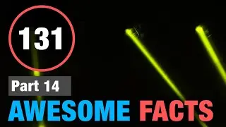 131 Mind Blowing Random Facts You Have to Know!