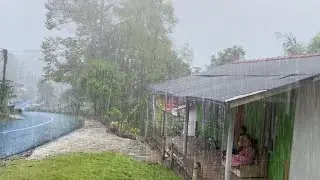 Rain & Thunder in The Village Red Roil | Hypnotize to fall asleep quickly when experiencing anxiety