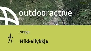 Mikkellykkja