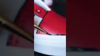 Custom painted  Vans using Angelus paints