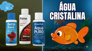 What is the Best Water Conditioner for Your Aquarium?
