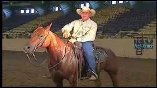 Horse Training: Advanced Training