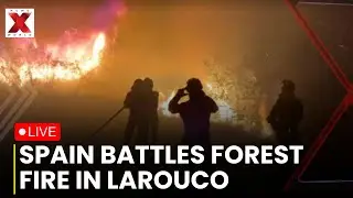 Spain Wildfire LIVE: Larouco fire forces emergency response in Spain | NewsX World