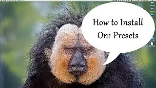 How To Install On1 Photo RAW 2018 Presets