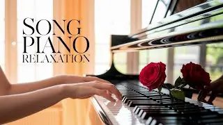 Echoes of Serenity &ndash; Focus Music for the Soul 🕊️🎶 #HarmonyInSilence #PianoForFocus