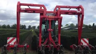 QuickHedge instant hedges - Multifunctional weed control