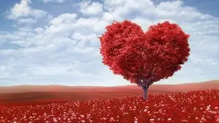 Inner Dimension of Islam: Part 4 | Algebra Society