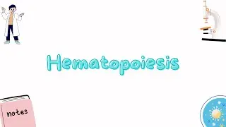 HEMATOPOIESIS [Blood cells formation]