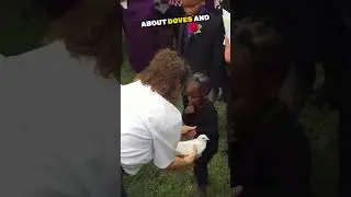 They were shocked what this dove did at this funeral 😯