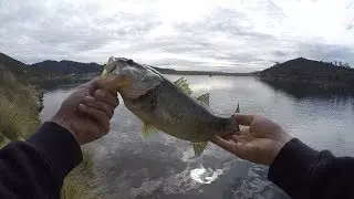 BASS Fishing Dixon Lake (San Diego)