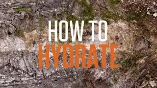 Alone: Survival Hacks: DIY Water Filter | HISTORY Canada