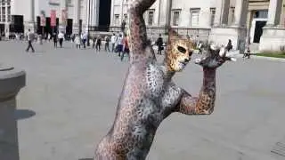 Big Cat Walk Walkabout Animals London