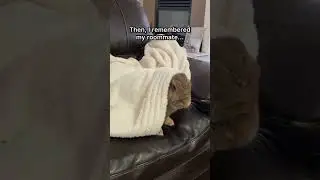 When Your Roommate is E.T.  Bunny...#shorts #rabbit