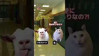 アメリカの高校数学が異次元だった件