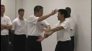 BaGua Zhang - Crossed Methods - Shuttle Palm - Master Su Dong Chen