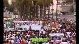 los calis -casta-sombra y luz- tijeritas -los chunguitos- parrita   (polojeros)