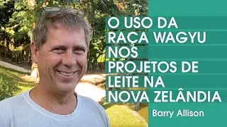 O USO DA RAÇA WAGYU NOS PROJETOS DE LEITE NA NOVA ZELÂNDIA - BARRY ALLISON