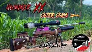 GILAAA‼️SUARANYA RENYAAHH SEKALI 🛑 HUMMER XX SUPER SONIC VS DGS SLUG 14GR