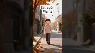 #plants#natural#support #estragon#apetite#debiles #convalescientes#nerviosos #reuma#dolor#subscribe