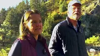 CU Students Explore Alpine Ecologies at New Spruce Gulch Wildlife Reserve