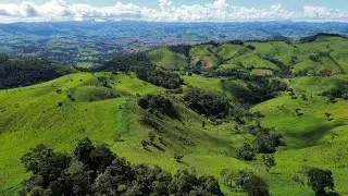 5 alqueires c/Vista Panorâmica | 1.300 mts de altitude em Cambuí MG | R$460.000 | Rico em Água 