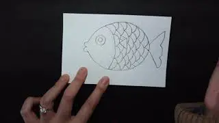 Follow-along Fish Drawing
