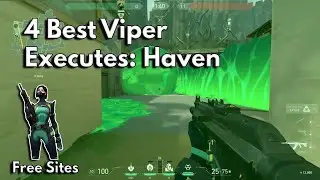 Руководство по Viper: 4 лучших варианта Viper: Haven Smokes & Curtains