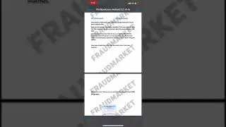 ⚠️⚠️BLUE ACORN PPP LOAN 1of1 EXCLUSIVE PRIVATE LEAKED FIRST TIME🚨🚨 @driphamilton