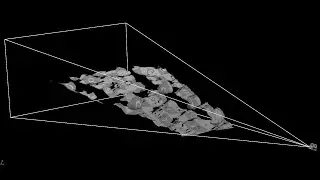 Scene Optimization
