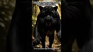 BLACK PANTHER vs DOG &ndash; The Silent Hunt | Realistic AI Wildlife Battle #shorts  #wildlife #aishorts