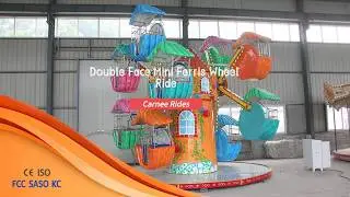 Double Face Mini Ferris Wheel Ride