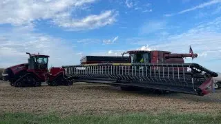 Will These Beans Test??