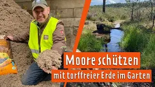 Torffreie Erde für Hobbygärtner | MDR Garten