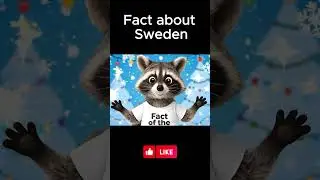 🦝✉️ Santa&rsquo;s Post Office in Sweden!  #raccoonfacts #factoftheday #racconwilly  #youtubeshorts #shorts