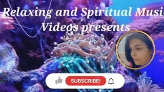 Soft, calming, soothing, and very beautiful background relaxing music with quotes for stress relief