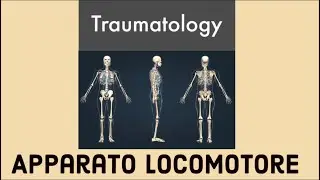 TRAUMATOLOGIA: APPARATO LOCOMOTORE