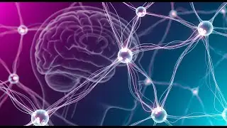 Beyond Dopamine: Unlocking Your Brain's REAL Motivation Molecules (2026)