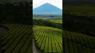 Alam Desaku@VidlQ_Vision#panoramaalamdesaku.#indahnyaalamku  #shorts @feedshorts
