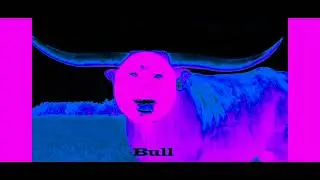Black man laughing sound vibrations in 35 seconds in dangerouswrongxraycest map