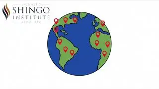 Why Should You Use the Shingo Model?
