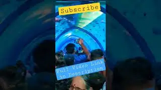 Amazing Under Water Fish Tunnel Expo in Vizag #fishing