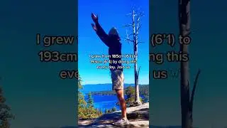 Grow 5cm Taller | Yoga with Max | Height Increasing Exercises